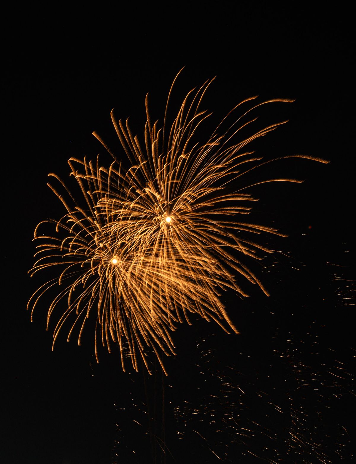 Golden fireworks finale over the night sky